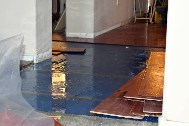 Professional Sewage Cleanup technician working in Machiasport, ME